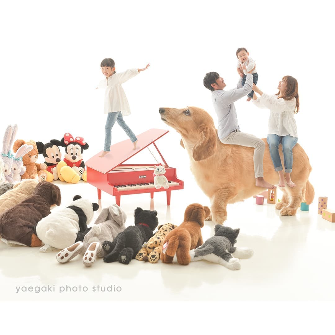 リトルアートフォトサンプル