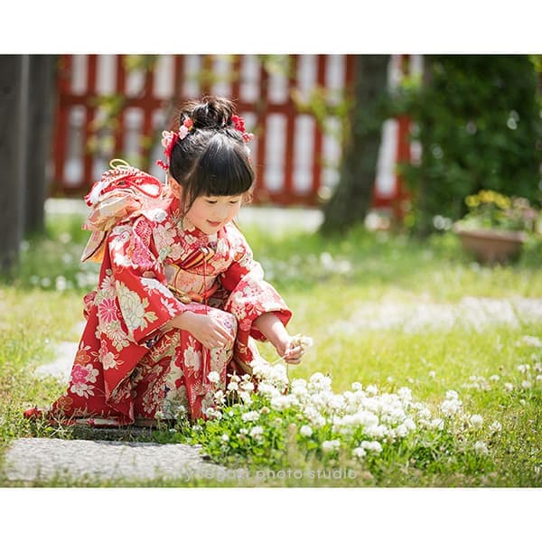 七五三サンプル